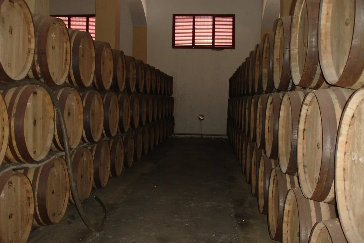 Rækker af egetræsfade med sherry stablet langs begge sider af en hvidkalket kældergang i en bodega i Jerez