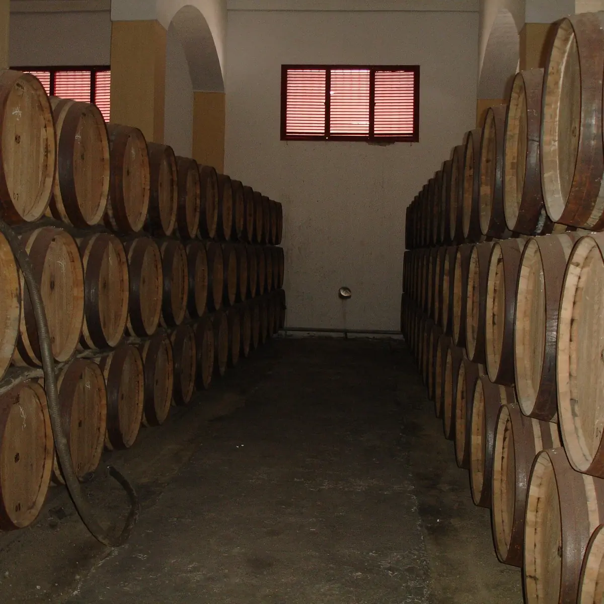 Botti di sherry in quercia impilate in file su entrambi i lati di uno stretto corridoio di una bodega, con archi e finestre con persiane in fondo